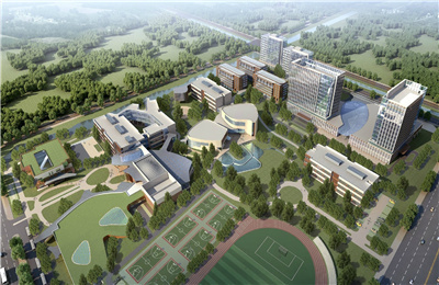 国际学校哪家好